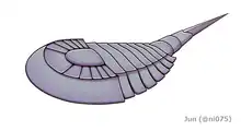 Venustulus, a synziphosurine arthropod and a distant relative to modern horseshoe crabs from the Waukesha Biota.