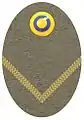 Hat badge (Mössmärke m/1940) for a second lieutenant in the army