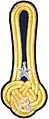 Shoulder mark m/1910(13 = Dalarna Regiment)