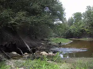 Image of the entire surface water flow of the Alapaha River near Jennings, Florida going into a sinkhole leading to the Floridan Aquifer groundwater