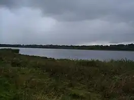 A lake surrounded by grass