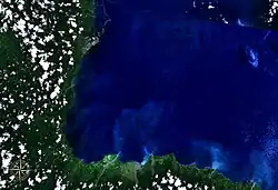 Astrolabe Bay seen from space