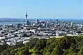 Auckland