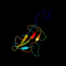 Biotin carboxyl carrier protein subunit of E. coli acetyl-CoA carboxylase