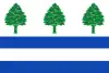 Flag of Requejo