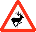 Wild animals ahead