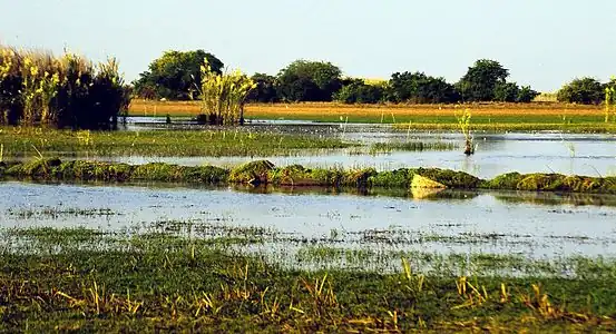 Bangweulu Wetlands