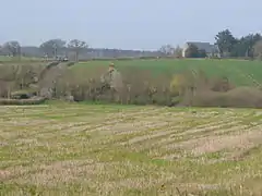 A few buildings scattered among fields and trees.