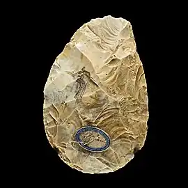 Flint biface from Saint-Acheul, France.