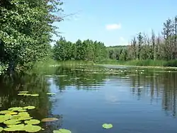 The Bityug River flows through Bobrovsky District