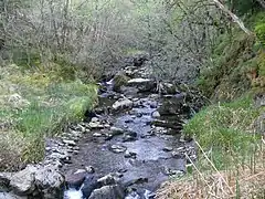 Blackcraig Burn, Clachaig.