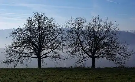 In winter, France