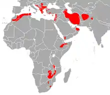 Throughout large parts of the Mediterranean, Middle East and Northern Africa