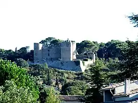 The chateau in Boissières