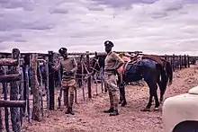 Two smiling black men in front of two saddled horses.