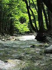 Boulder Creek taken near its outlet into the Stehekin River