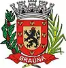 Coat of arms of Braúna