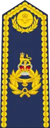 An RAF air vice-marshal's shoulder board