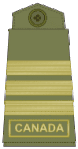 Olive green uniforms (old insignia)