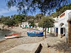 Looking south along the cove