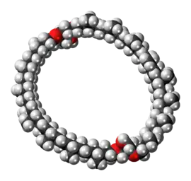 Space-filling model of the caldarchaeol molecule