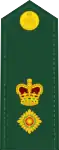 Dress uniform tunic