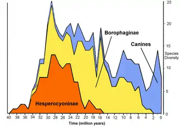 Fluctuation of species within Canidae over 40 million years