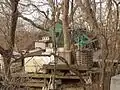 Cats napping outside their house