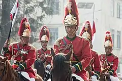 Horses used in Ghode Jatra