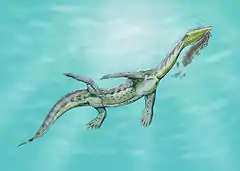 Ceresiosaurus