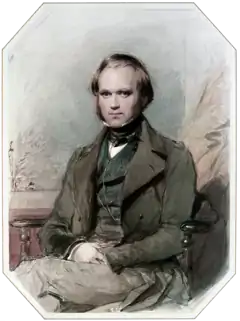 Three-quarter length portrait of Darwin aged about 30, with straight brown hair receding from his high forehead and long side-whiskers, smiling quietly, in wide lapelled jacket, waistcoat and high collar with cravat