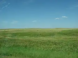 Farmland on the reservation