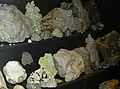 Minerals display: close-up.