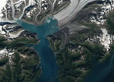 Satellite view in 2018 showing tidewater on the north and west sides of Great Nunatak (in bullseye)