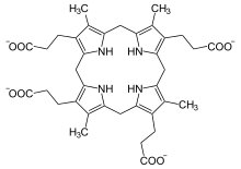 coproporphyrinogen III, precursor to protoporphyrinogen IX.