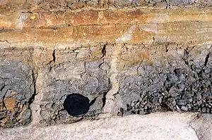 De-watering pipes above the Lowe S3 layer of a high-density turbidite. Cozy Dell Formation, California.