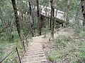 Stairway descent to viaduct from Siding Lookout