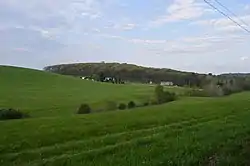 Fields southwest of Chicora