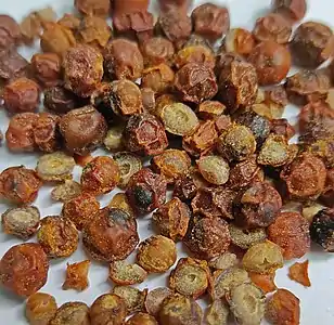 Dried red Kampot peppercorns.