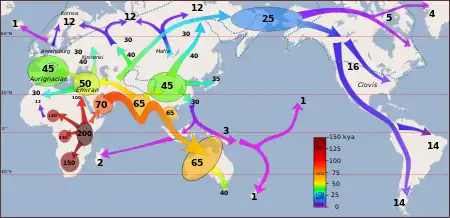 World map with arrows showing human migrations (from Human history)