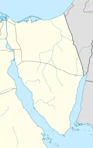 SSH is located in Sinai