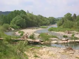 A fast-flowing river in a wide, gravelly bed, flows through woodland.