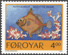 FR 249: Rútar kongur -  false boarfish (Neocyttus helgae)