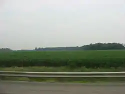 Fields and woods in northern Groton Township