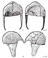 Filippovka 1, iron helmets from mound 11