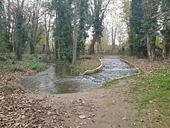 The new fish pass stream