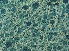 Micrograph of temper (memory) foam