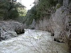 Salazar River