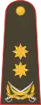 General-leytenant(Azerbaijani Land Forces)