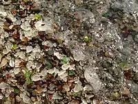 A small wave on the beach